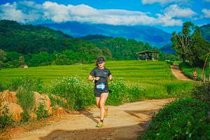 BIB: 
                            <button type="button" onclick="openModal(25042369)" class="btn btn-primary btn-sm float-right btn-popup" data-toggle="modal" data-target=".modal-high-quality">
                        <i class="fas fa-shopping-cart"></i> Add to Cart
                    </button>
                                            <button type="button" onclick="isThisMe(25042369, true)" class="btn btn-success btn-sm float-right btn-popup btn-isme hidden" data-toggle="tooltip" data-placement="bottom" title="นี่คือรูปของคุณใช่ไหม คลิกที่นี่เพื่อเอาเข้าอัลบั้ม">
                        <i class="fas fa-plus"></i> Add to album
                    </button>
                    <button type="button" onclick="isThisMe(25042369, false)" class="btn btn-warning btn-sm float-right btn-popup btn-isnotme hidden">
                        <i class="fas fa-ban"></i> Remove from album
                    </button>